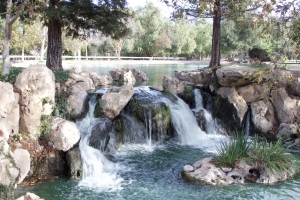 Bridlewood Waterfall-photo credit Shannon Donnelly